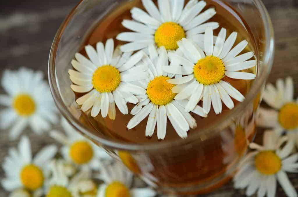 cup of chamomile tea with flowers inside